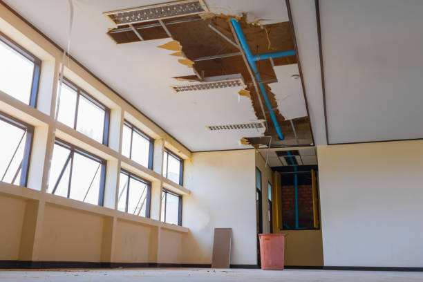 Best Residential water damage restoration  in Sneedville, TN