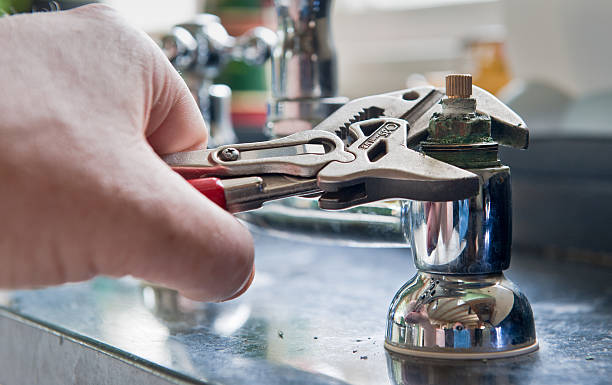 Best Professional water damage repair  in Sneedville, TN