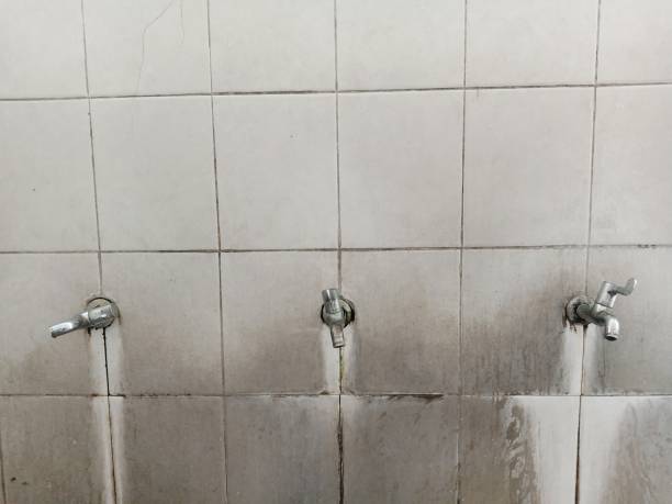 Best Water damage restoration insurance claims  in Sneedville, TN