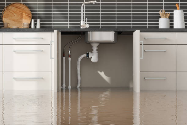 Best Commercial water damage restoration  in Sneedville, TN