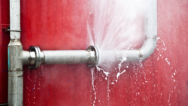 Best Emergency water extraction  in Sneedville, TN
